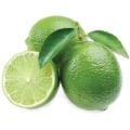 Lime Fidanı